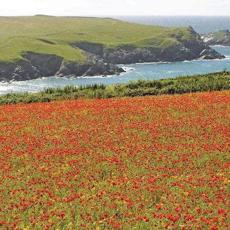 Trevornick Holiday Park Cubert المظهر الخارجي الصورة
